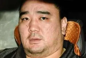 日馬富士　現在　今